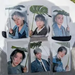 【セット】straykids スキズ 5/11 静岡エコパ 会場限定トレカ