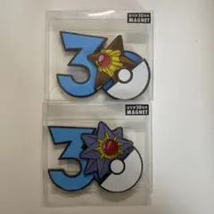 ポケモン 30周年 マグネット エレズン ストリンダー　3点セット ポケモン30周年 マグネット中国限定 エレズン ストリンダー 3点セット