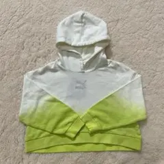 Item thumbnail for item 9f8bd778-40a6-48bf-b1af-4c601bb135e4