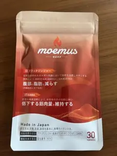 Item thumbnail for item 520c718d-df62-4da2-8aec-b0a38d5ff2e0