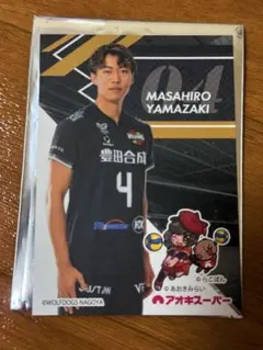 ウルフドッグス名古屋 市川健太 選手 トレカ アオキスーパー - メルカリ