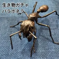 【美品】BANDAI 生き物大図鑑 パラポネラ ガシャポン 最強アリ フィギュア