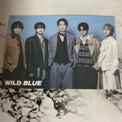 WILDBLUE ポストカード B-PASS 3月号 特典