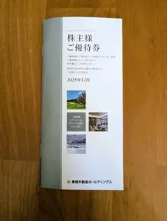 株主優待券　東急不動産ホールディングス　500株以上1000株未満　1冊　送無料