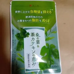 桑の葉＆茶カテキンの恵み 120粒 機能性表示食品のサムネイル