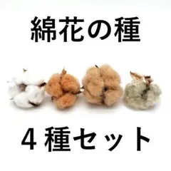 みかん（おまとめ100円引き）様 リクエスト 2点 まとめ商品