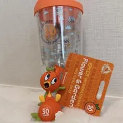 〈激レア〉エプコット30周年　イベント　グッズ