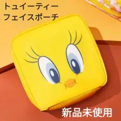 トュイーティー ルーニーテューンズ スクエア ポーチ 新品未使用 ドアップ