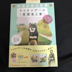 やまさん様 リクエスト 2点 まとめ商品