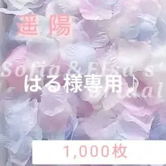 はる様 リクエスト 2点 まとめ商品