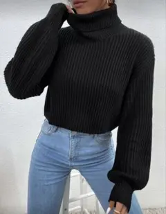 SHEIN＊RoseDaze＊クロップド丈リブ編みタートルネックセーター