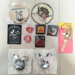 ディズニー まとめ売り 缶バッジ キーホルダー