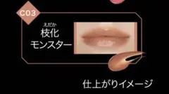 KATE リップモンスター　クリアトーン　C03 【枝化モンスター】