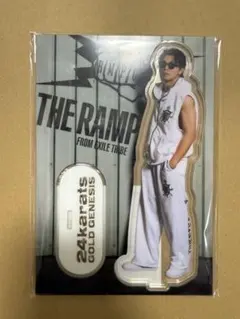 武知海青 BIG アクスタ フォトカ2枚セット