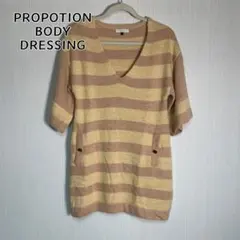 プロポーションボディドレッシング ボーダー ニットワンピース Vネック 5分袖
