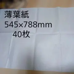 Item thumbnail for item 25e86da0-03e4-4d55-94b7-e2959c731529