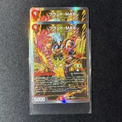 ブランド-MAX 2枚