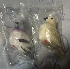 てのりフレンズ イマジネーション ミックス 鳩2個セット
