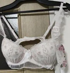 Item thumbnail for item ccefb649-d464-4e6c-964c-816b252fe35f