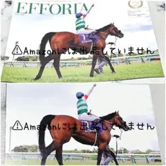 【競馬】エフフォーリア 写真セット