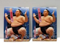 Item thumbnail for item 2cb1c146-a811-438a-bdb2-3645fec1b67c