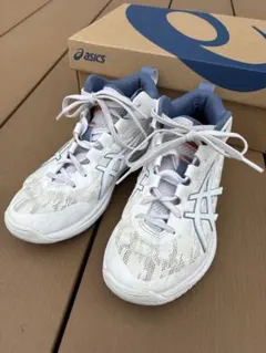 Item thumbnail for item d5fc6a24-630d-4525-b70f-a8255570cb9e