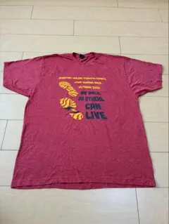 tultex Tシャツ レッド XL 〝R2〟