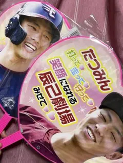 Item thumbnail for item 5d5e87ac-2d44-4563-938a-b6a5a7073ed0