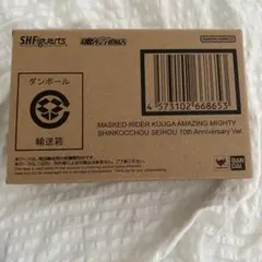 S.H.Figuarts 真骨彫製法 仮面ライダークウガ　アメイジングマイティ