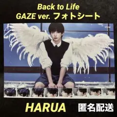 【GAZE ver.】 &TEAM BTL フォトシート HARUA