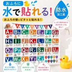 お風呂に貼れる アルファベット表 英語 防水知育ポスター カタカナ 九九のサムネイル