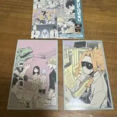 メモリアルコレクション　2点セット