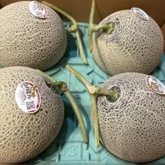 茨城県産 クロレラ タカミメロン 5玉セット 茨城県産 クロレラ タカミメロン 5玉セット - メルカリ