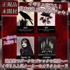 北欧アンティーク 希少なアンティークカード100枚入り！古く美しい