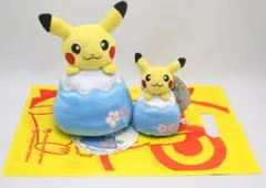2026年最新】富士山頂ピカチュウの人気アイテム - メルカリ