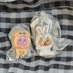 skzoo つまんでつなげてマスコット ハン チャンビン ガチャガチャ