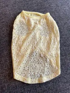 Item thumbnail for item 36bbd954-efb5-49cf-81d2-6da4df4e467c