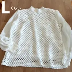 Lくらい　ハイネック　ブラウス　プリーツ　お洒落　エレガント　レトロ　衣装