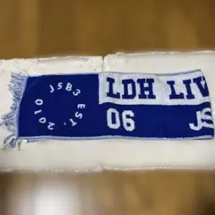 LDH LIVE-EXPO 2024マフラータオル 岩田剛典