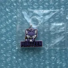 MINITEEN ぷっくりめじるしアクセサリー ウォヌSEVENTEEN