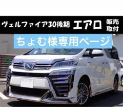アルファード30系前期Sグレード デイランプキットパネル 塗り分け 305