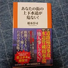 Item thumbnail for item b807e311-8250-4108-a2e1-a86c81292618