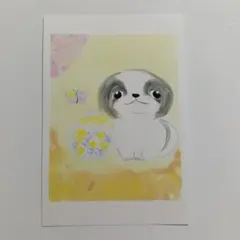 ポストカード オリジナルイラスト 狆 ハーバリウム 犬 花