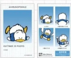 サンリオキャラクターズ 証明写真風スマロイド　ペックル