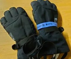 Item thumbnail for item f9e17499-ef5d-4826-95b7-3481beaa0ba7