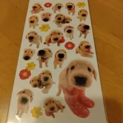 子犬シールセット