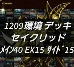 2026年最新】遊戯王1209の人気アイテム - メルカリ