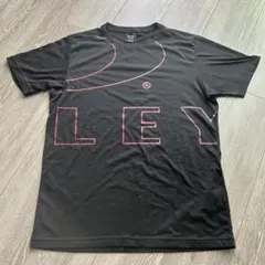 Item thumbnail for item 207504df-785e-4f8c-8566-15cf1fcb308e