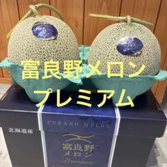 糖度19!! 「太陽の華」富良野メロン 2玉 品種：ティアラ - メルカリ