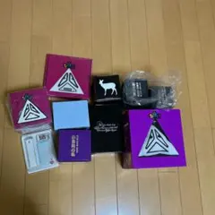 堂本剛 DVD ソロ KinKi エンドリケリー ENDRECHERI 円盤 堂本剛 DVD ソロ KinKi エンドリケリー ENDRECHERI 円盤 - メルカリ